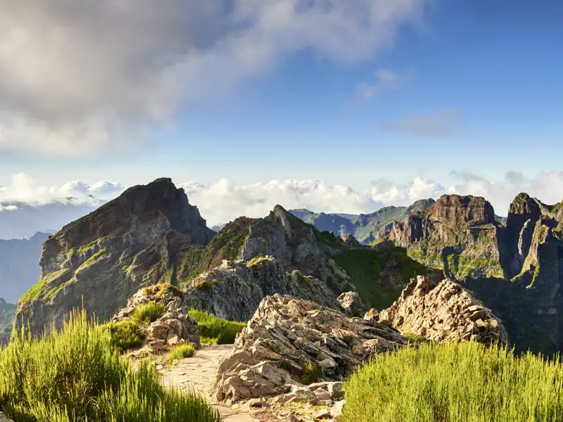 Auf unserer Silvesterreise für Singles und Alleinreisende nach Madeira verzaubert uns die vielgestaltige Landschaft der Insel mit der Steilküste am Meer, dichten Wäldern und vulkanischen Bergmassiven.