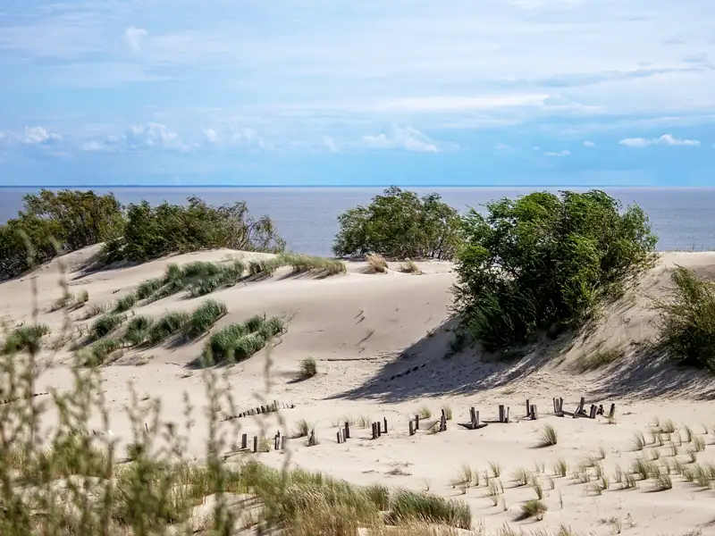 Auf unserer Reise ins Baltikum für Singles und Alleinreisende machen wir einen Ausflug auf die Kurische Nehrung (UNESCO-Welterbe).