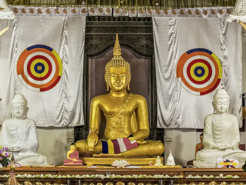 Auch dem Heiligtum Sri Lankas, dem Zahntempel in Kandy, der der Überlieferung nach einen Eckzahn Buddhas beherbergt, statten wir während unserer Rundreise für Singles und Alleinreisende durch das Land einen Besuch ab.