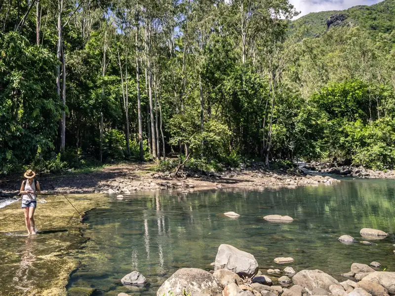 UnsereStudiosus-Reise für Singles und Alleinreisende nach Mauritius führt uns unter anderem in den Black River Gorges National Park, ein grünes Naturparadies.