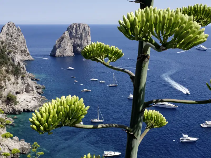 Unsere achttägige Familienreise führt Sie zu den Höhepunkten am und im Golf von Neapel. Die weltberühmten Faraglioni vor Capris Felsenküste, umgeben von blauem Meer und weißen Booten, gehören ganz sicher dazu.