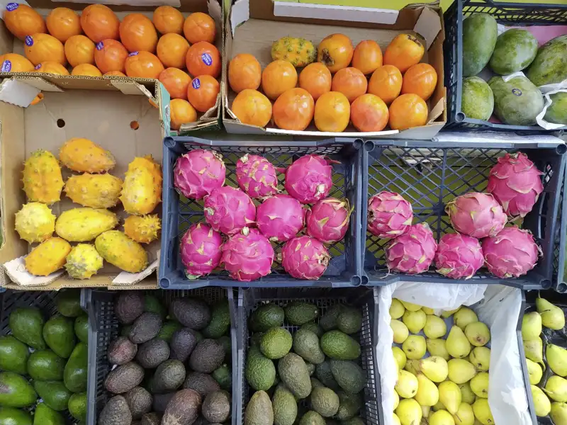 Bunte Früchte auf einem Markt in Marokko