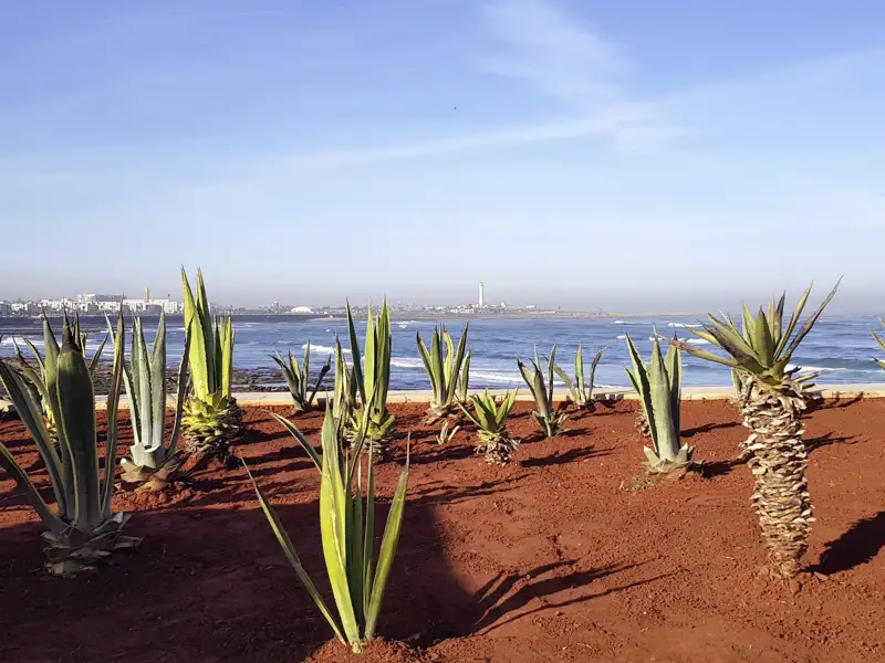 Von der Corniche, der Uferpromenade, bieten sich schöne Ausblicke auf Casablanca und den Atlantischen Ozean.