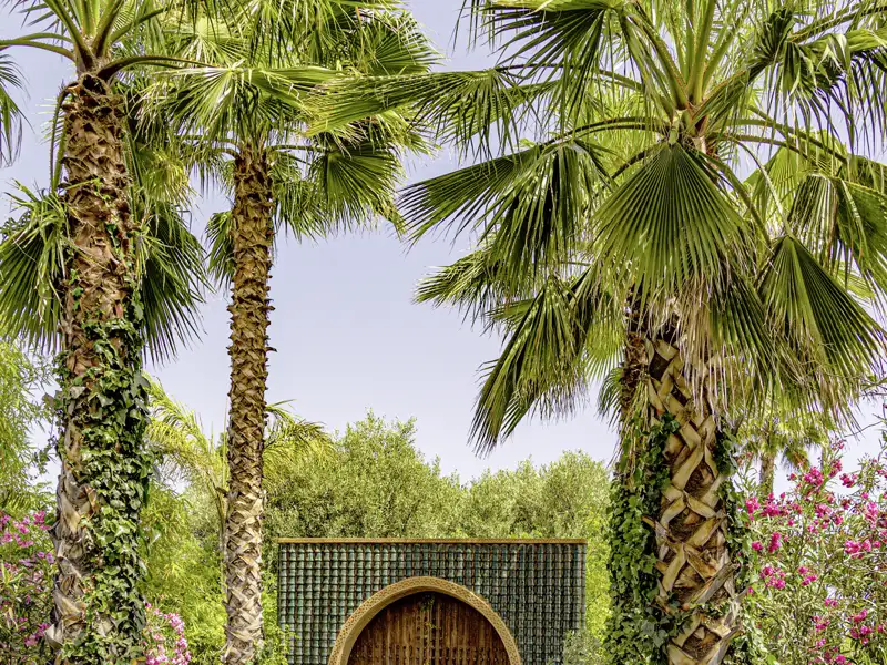 Eine Oase der Ruhe und Inspiration vor den Toren Marrakeschs ist der Anima-Garten. Der Universalkünstler André Heller hat hier seinen Traum vom Paradies verwirklicht. Eines der vielen Highlights auf unserer zehntägigen Studienreise zu den Höhepunkten Marokkos.