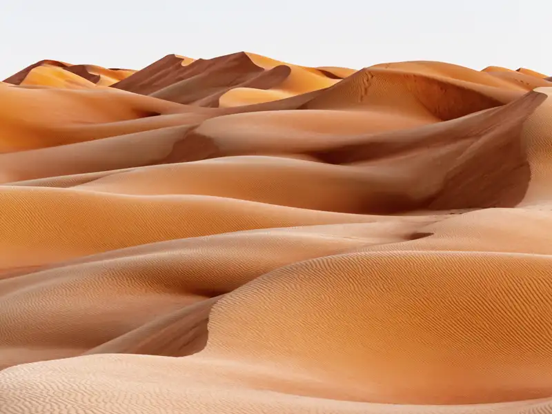 Bei unserer Rundreise in den Oman und die Vereinigten Arabischen Emirate kommen wir auch in die Wüste Wahiba Sands.
