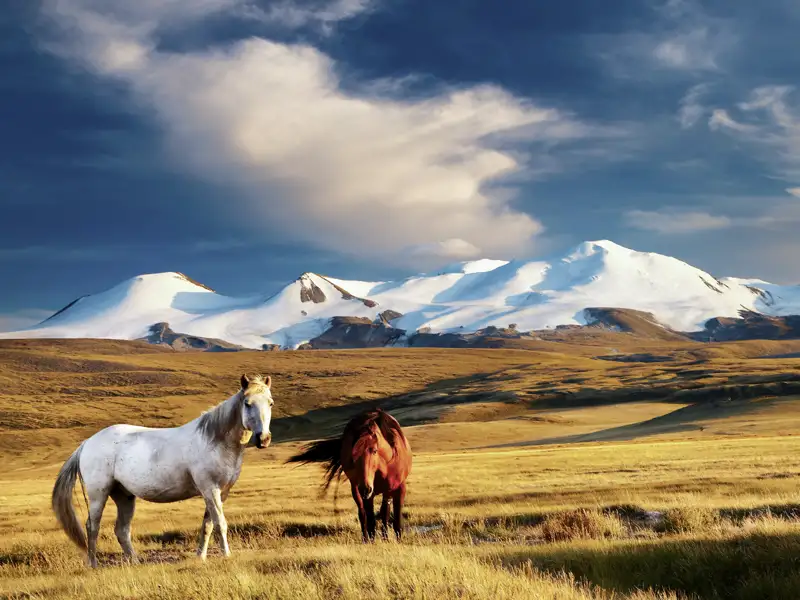 Auf Ihrer Expeditions-Rundreise durch die Mongolei erkunden Sie unter anderem von Jurtencamps aus Steppenlandschaften und Naturspektakel wie die Singenden Dünen und die Flammenden Klippen.