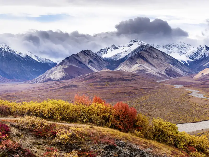 Wir besuchen auf unserer Naturerlebnisreise mit Studiosus den Denali-Nationalpark in Alaska