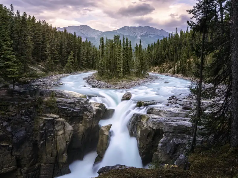 Im Jasper National Park erleben Sie auf unserer ausführlichen Studienreise durch Kanada die unverfälschte Natur der Rocky Mountains.