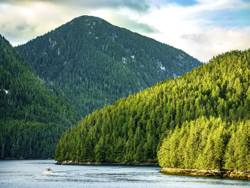 Unsere Studienreise in den Westen Kanadas beinhaltet auch eine Fahrt mit der Fähre über die Inside Passage nach Vancouver Island.