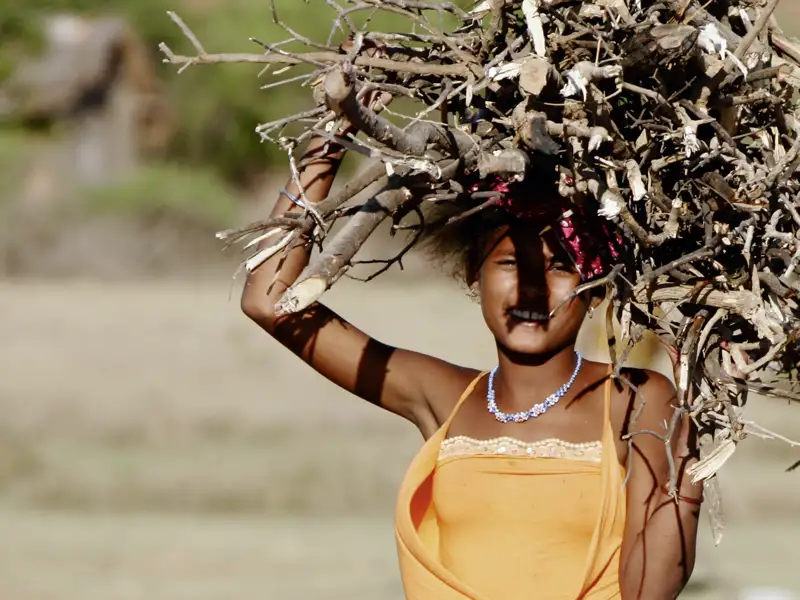 Brennholz ist ein rares Gut auf Madagaskar wie wir auf unserer Rundreise sehen werden. Studiosus unterstützt daher ein Projekt für Solarkocher auf der Insel.