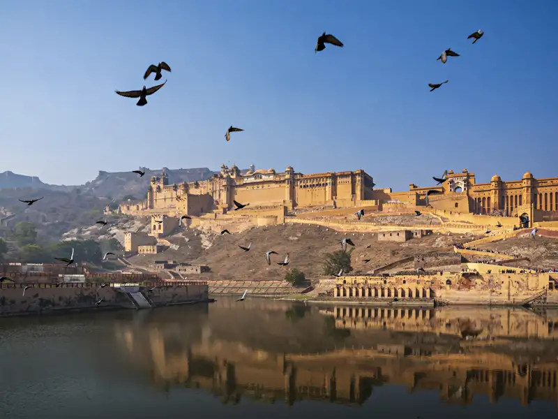 Natürlich besuchen wir die Festung Amber bei Jaipur ausführlich auf unserer Studienreise Rajasthan – Auszeit im Land der Maharadschas.