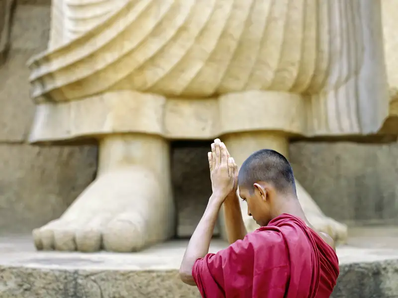 Auf unserer Reise nach Sri Lanka begegnen wir betenden Mönchen, die wie hier am Riesenbuddha von Aukana Buddhas sanfte Lehre praktizieren.