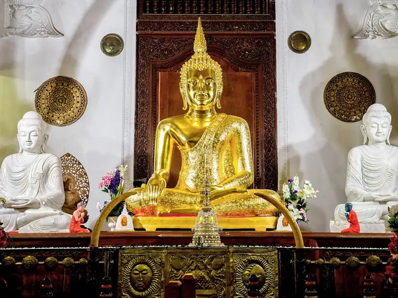 Auf unserer Rundreise durch Sri Lanka besuchen wir in Kandy den Zahntempel (UNESCO-Welterbe). In ihm behüten Mönche die wichtigste Reliquie Sri Lankas, den linken oberen Eckzahn Buddhas. Besonders eindrucksvoll: die komplett vergoldete und mit Edelsteinen geschmückte Statue eines sitzenden Buddhas