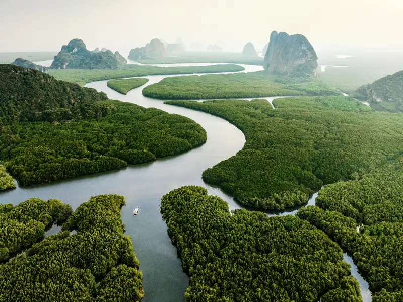 Atemberaubende Landschaften erleben Sie auf dieser smart&small-Rundreise in kleiner Gruppe; wie hier die Mangroven, Flussarme und Hügel in der paradiesischen Phang-Nga-Bucht.