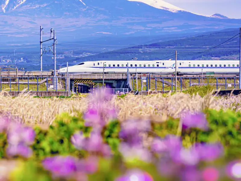 Gemeinsam in der kleinen Gruppe reisen wir im legendären Shinkansen durchs Land.