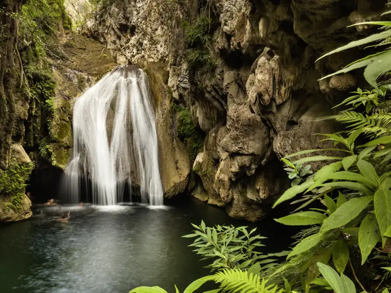 Mit Wanderschuhen im Tropengrün: Auf unserer Wanderung zum Wasserfall Javira führt der Weg durch üppige tropische Vegetation. Badesachen dabei? Das glasklare Wasser ist herrlich erfrischend - nur eines der vielen Erlebnisse auf unserer smart & small-Reise durch Kuba!