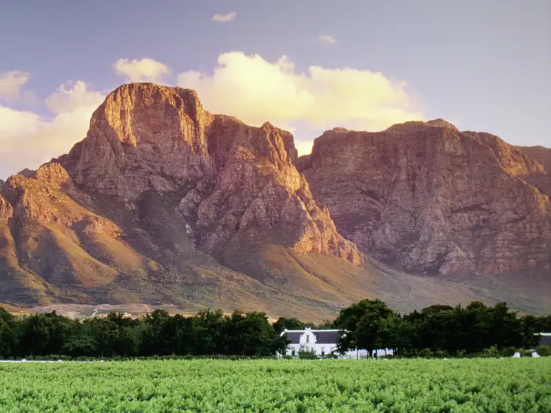 Wir probieren auf unserer Reise in kleiner Gruppe durch Südafrika einige der köstlichen Weine Südafrikas.