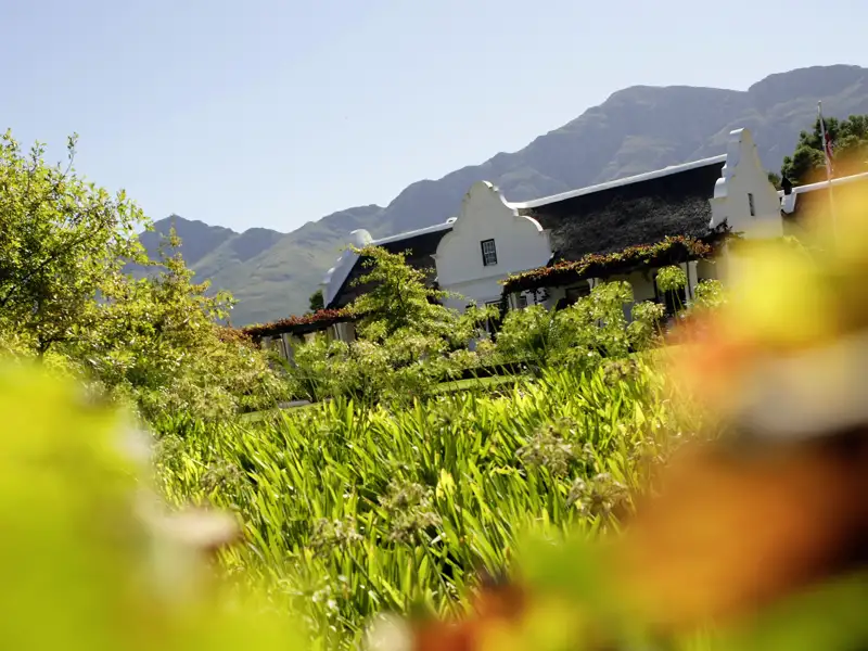Auf unserer Rundreise in kleiner Gruppe durch Südafrika probieren wir auf einem Weingut köstliche Tropfen.