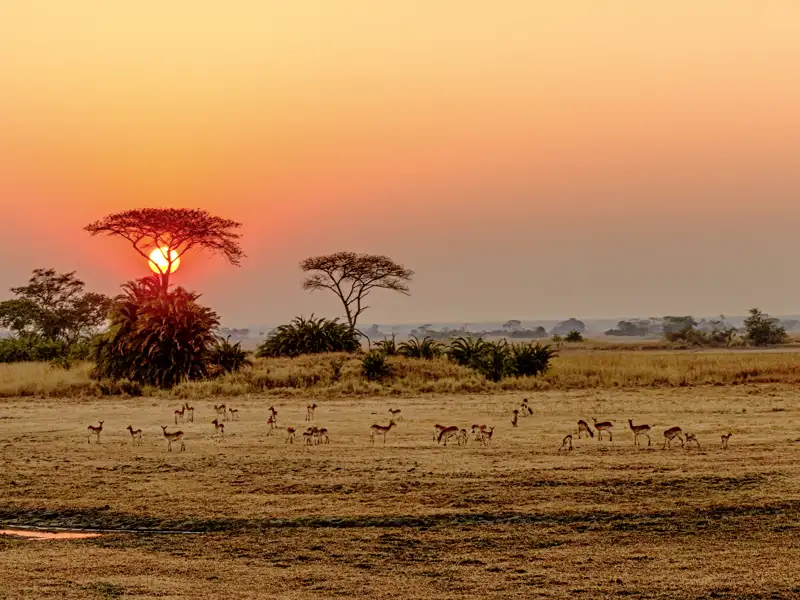 Unvergessliche Eindrücke in Sambias Natur!