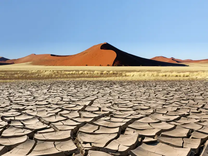 Unterwegs in Namibia, natürlich zu den Dünen der Namib am Sossusvlei. Das ist ein besonderes Erlebnis der Reise in kleiner Gruppe mit Studiosus.