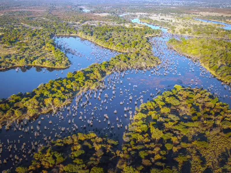 Auf unserer Rundreise durch Botswana fliegen wir von Khwai nach Maun und blicken aus der Luft auf das Okavangodelta.