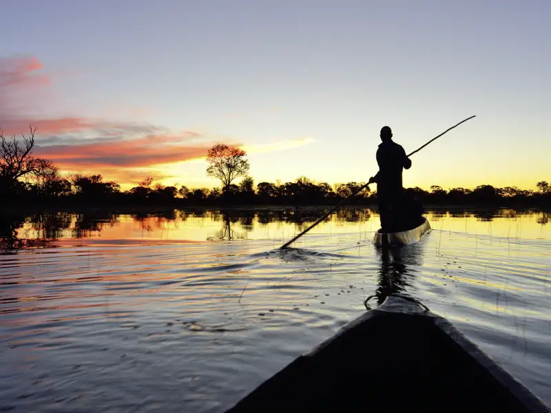 Wenn der Wasserstand es zulässt, sind wir während unserer Studiosus-Reise durch Botswana mit unseren einheimischen Bootsführern in einem Mokoro auf dem Okavango unterwegs.