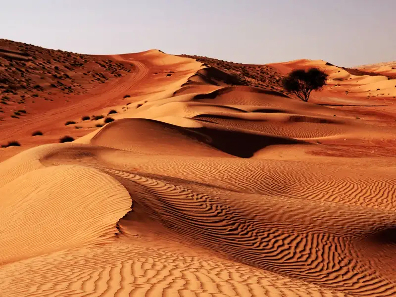 Die Wüste nimmt immer wieder neue Farben und Formen an, wie wir bei unserer Rundreise durch Saudi-Arabien, Bahrain und Katar erfahren.