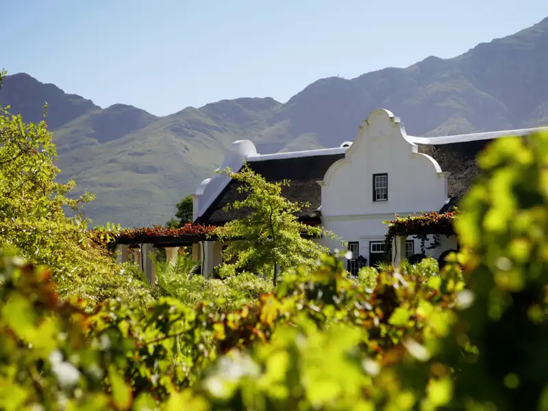 Südafrikanische Weine sind weltbekannt für ihre kräftigen Aromen. Unsere Rundreise beinhaltet auch eine Weinprobe. Vielleicht auf einem Weingut wie diesem in kapholländischer Architektur in den Weinbergen der Kapregion.