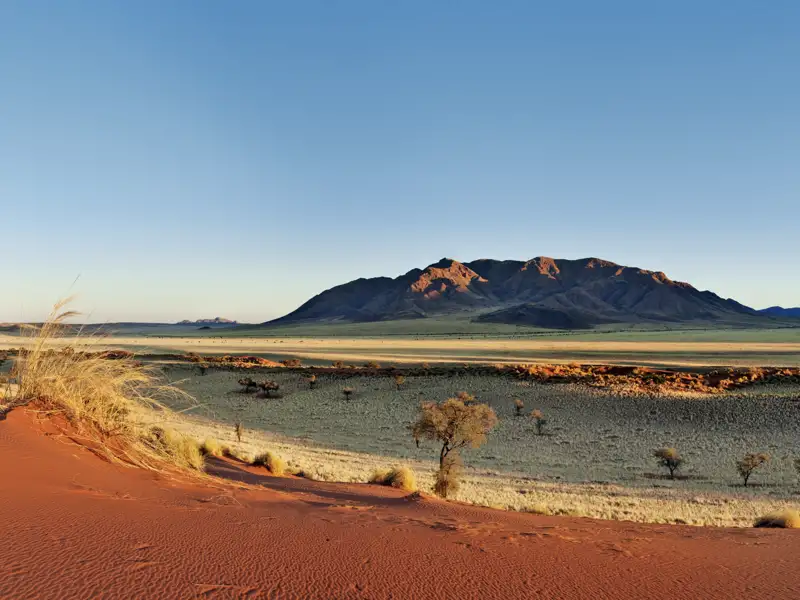 Knapp drei Wochen lang erkunden Sie mit Ihrem Studiosus-Reiseleiter und in kleiner Gruppe die Naturschönheiten Botswanas und Namibias. Wir besuchen natürlich auch das UNESCO-Weltnaturerbe Nambiwüste: Über 95.000 Quadratkilometer erstreckt sie sich und beeindruckt mit ihren meterhohen Dünen sowie überraschend effizient angepasster Flora und Fauna.