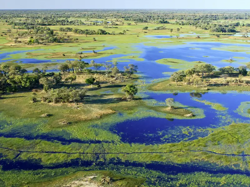 Das Okavangodelta in Botswana gehört zum UNESCO-Welterbe. Die sommerlichen Regenfälle über dem Hochland von Angola erreichen mit mehrmonatiger Verzögerung das Binnendelta in Botswana zum Wasserhöchstand im Mai und Juni.