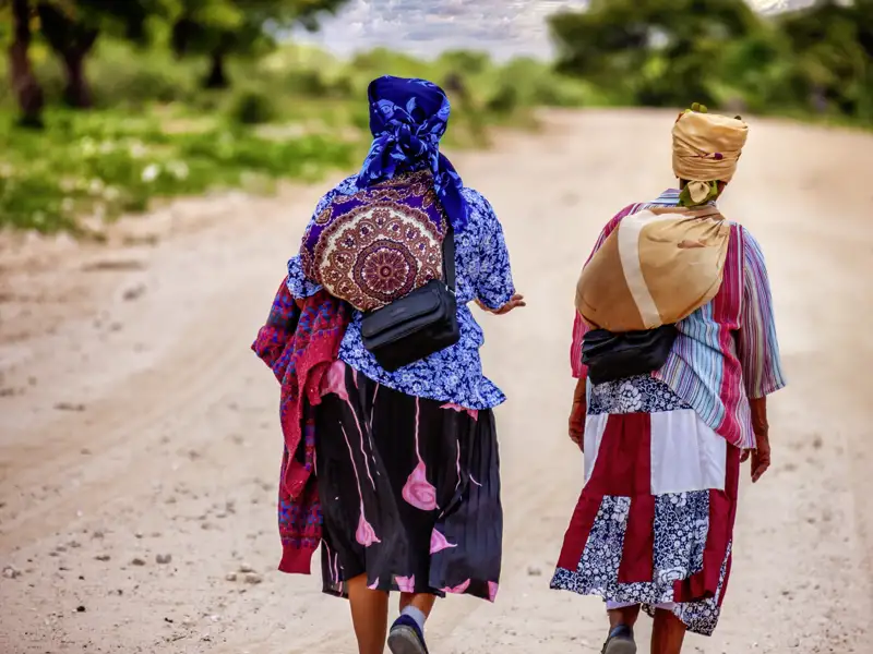 Knapp zwei Wochen lang erkunden Sie mit Ihrem Studiosus-Reiseleiter und in kleiner Gruppe die Naturschönheiten Botswanas sowie die Victoria Falls. Doch Sie begegnen auf Ihrer 13-tägigen Expeditionsreise natürlich auch Land und Leuten.