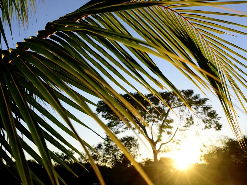 Erleben Sie Mexikos beeindruckende Naturvielfalt auf dieser Studiosus-Reise: majestätische Vulkane, tiefe Canyons, üppiger Regenwald und türkisblaues Meer - eine Vielfalt an Eindrücken für alle Sinne, die Sie so schnell nicht vergessen werden.