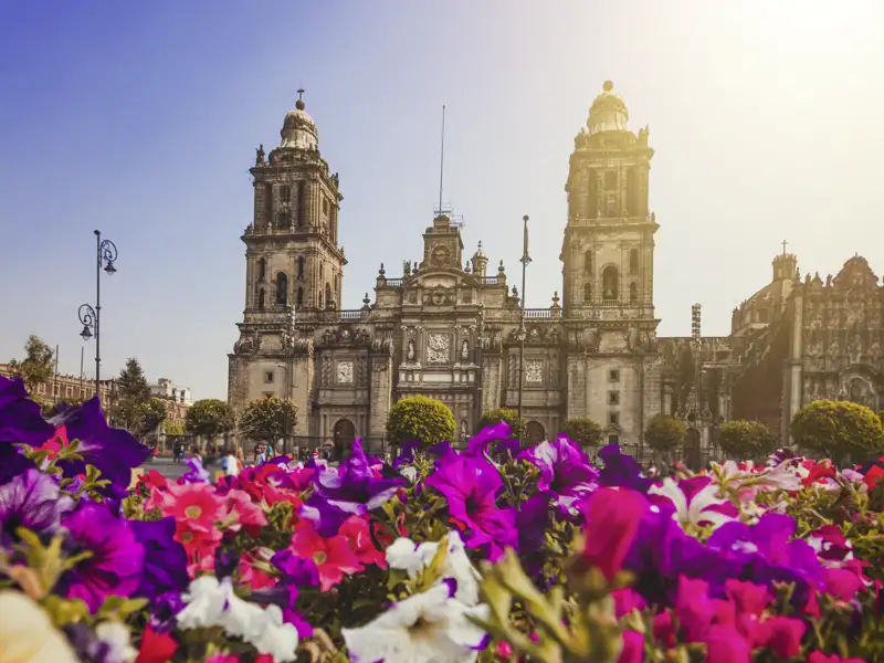 Unsere 21-tägige Studienreise durch Mexiko und Guatemala startet mit einem Aufenthalt in Mexiko-Stadt. Direkt am Zócalo, dem historischen Hauptplatz, erleben wir die pulsierende Atmosphäre der Hauptstadt. Umgeben von der prächtigen Kathedrale, dem Nationalpalast und den Ruinen des Templo Mayor sind wir mitten im Trubel der Hauptstadt.