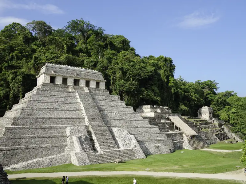 Auf unserer 16-tägigen klassischen Studienreise durch Mexiko erkunden wir die Ruinen von Palenque, eine beeindruckende Mayastätte tief im Regenwald. Umgeben von unberührter Natur, erleben wir die Pyramiden und Tempel, von denen viele noch immer  im Dschungel verborgen sind.