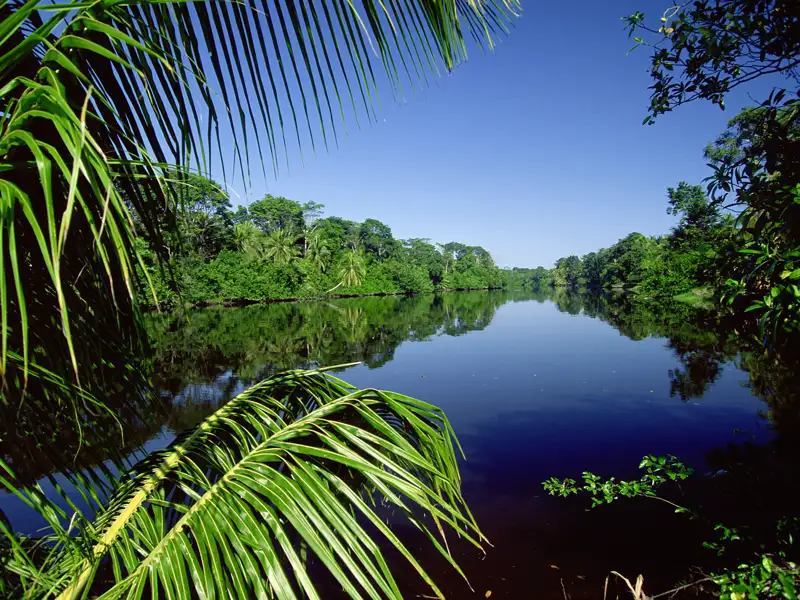 Ihre 17-tägige Studienreise durch Mittelamerika startet in Costa Rica – einem Naturparadies voller Kontraste. Erleben Sie dichten Dschungel, aktive Vulkane und eine beeindruckende Vielfalt an Tieren und Pflanzen hautnah auf spannenden Ausflügen.