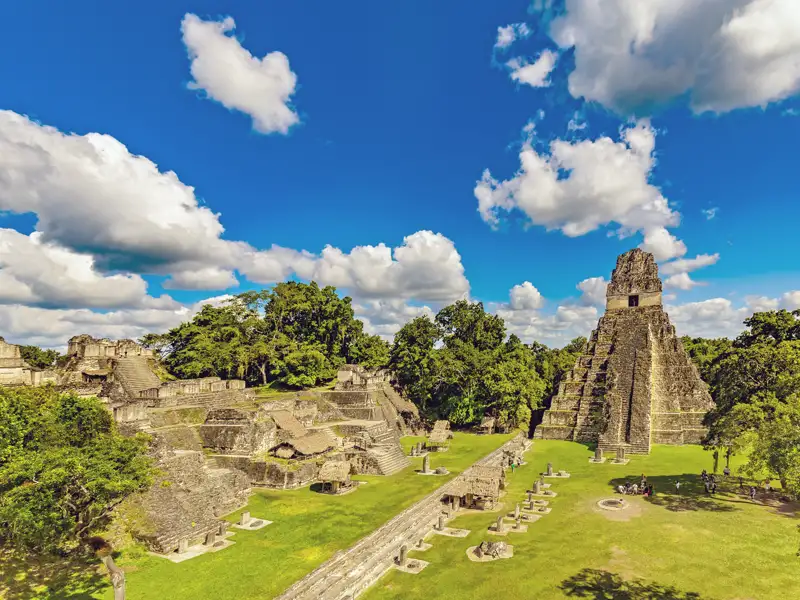 Auf unserer Studienreise durch Guatemala entdecken wir mit Studiosus-Reiseleitung die faszinierende Mayastadt Tikal, wo sich Tempel, Paläste und eine gesamte Akropolis im dichten tropischen Regenwald verbergen. Besonders beeindruckend ist die Pyramide des Großen Jaguars, umgeben von üppigem Grün – ein faszinierendes Zusammenspiel von Kultur und Natur.