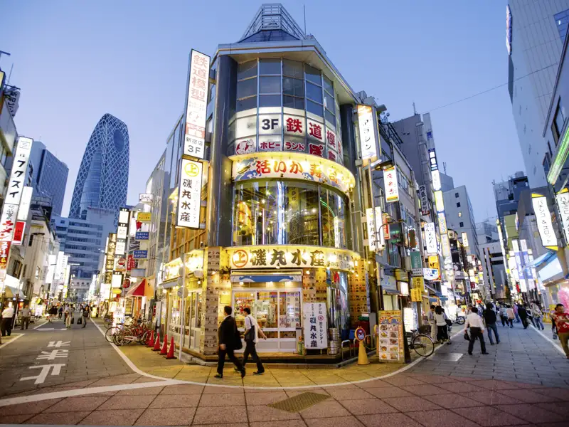 Wenn der Abend anbricht, verwandelt sich Tokio in ein funkelndes Häusermeer, eines unserer Ziele auf unserer 17-tägigen Studienreise durch Japan.