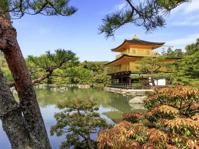 Ein unbestrittener Höhepunkt dieser Studienreise nach Japan ist der Besuch des berühmten Goldenen Pavillons in Kyoto.