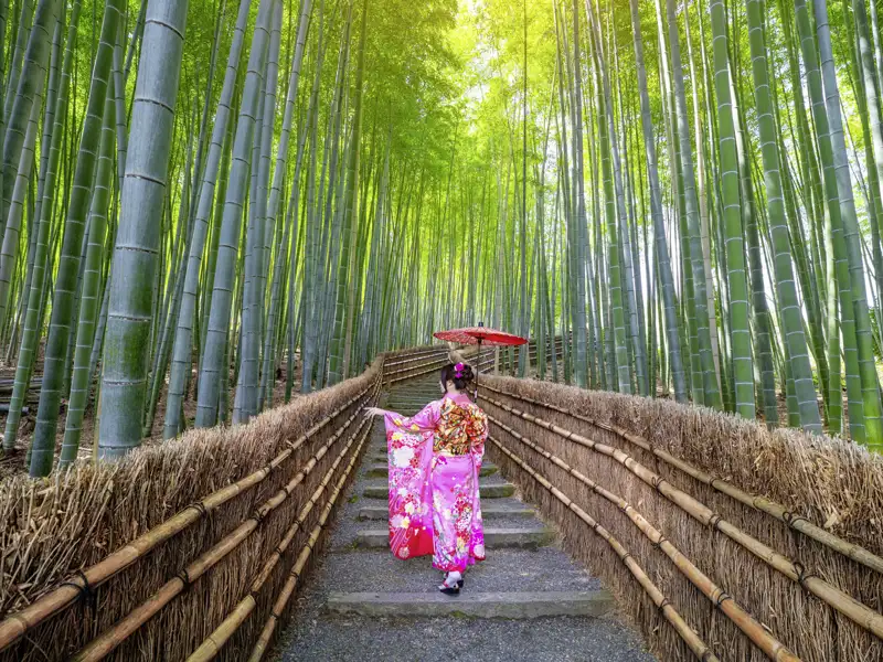 Gemeinsam schreiten wir auf unserer preiswerten zwölftägigen Studienreise nach Japan durch den berühmten Bambuswald von Arashiyama in der Nähe von Kyoto.