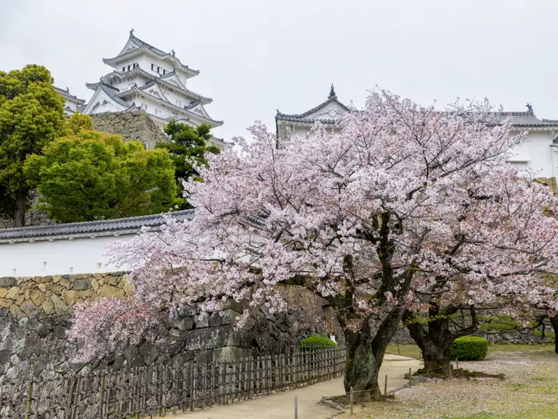 Auf einem Tagesausflug nach Himeji erleben Sie die legendäre Burg des Weißen Reihers.