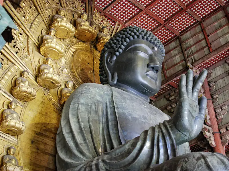 In der Nähe von Kyoto besuchen Sie auf der 15-tägigen Studienreise Japan - Herbstlaubfärbung in Nara den ehrwürdigen Todai-Tempel mit dem Großen Buddha.