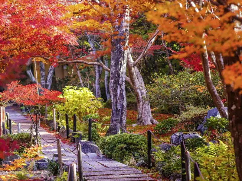 Gemeinsam schreiten wir  auf der 15-tägigen Studienreise Japan - Herbstlaubfärbung durch die Gärten von Kyoto und genießen die Stimmung.