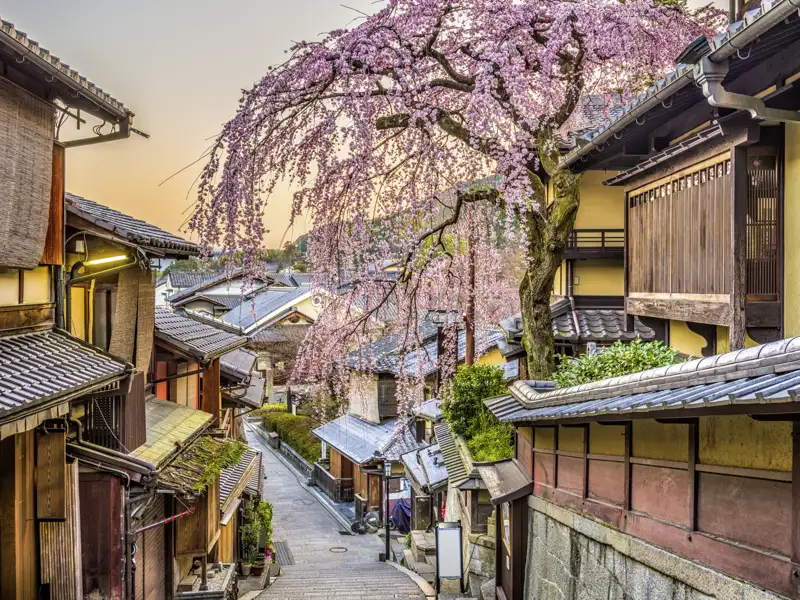 Diese 14-tägige Studienreise mit Muße  führt Sie nach Japan. In den Altstadtgassen von Kyoto können Sie  ins traditionelle Leben eintauchen.