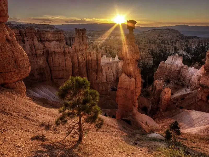 Langsam senkt sich am Abend die Sonne und taucht den Bryce Canyon in spektakuläres Licht.