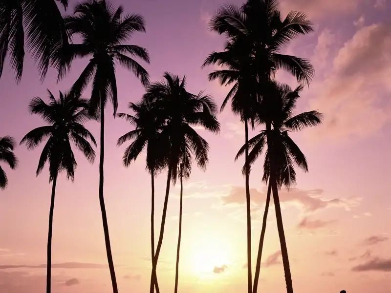 Auf unserer Studienreise nach Hawaii genießen wir Natur und Strände bei spektakulären Sonnenuntergängen.