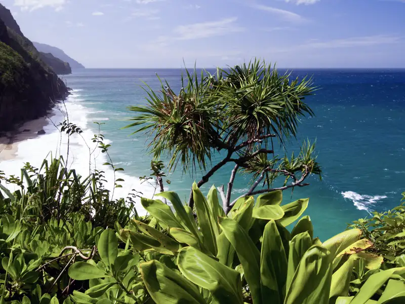 Wir erleben die Insel Kauai des Hawaii-Archipels auf unserer Studienreise zu diesen atemberaubenden Inseln im Pazifik