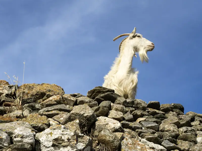 Auf unserer Mini-Gruppen-Reise auf den Kykladen bleibt immer wieder Zeit, innezuhalten und den Ausblick zu genießen.