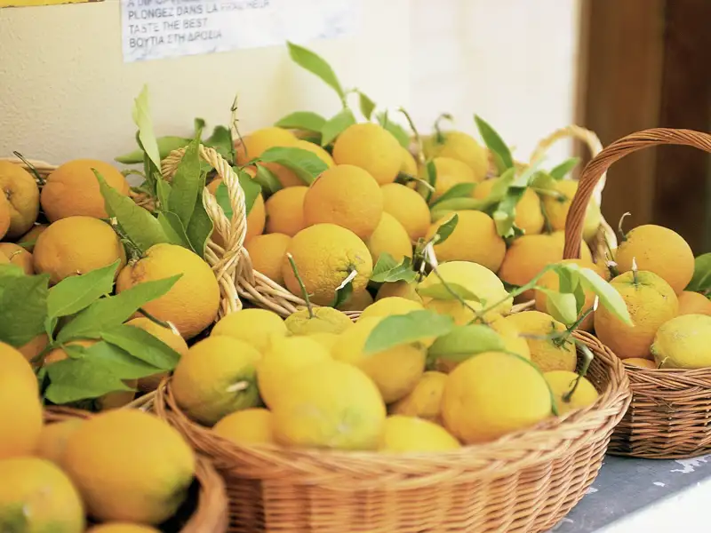 Unter der Mittelmeersonne reifen Orangen auf den Kykladen besonders gut. Bei unserer Rundreise haben wir immer wieder Gelegenheit zu probieren.