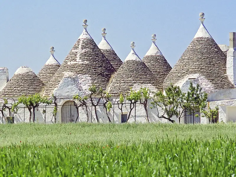 Auf unserer Reise in kleiner Gruppe durch Apulien stoßen wir vor allem in und um Alberobello immer wieder auf die für die Region typischen Bauten, die Trulli heißen.