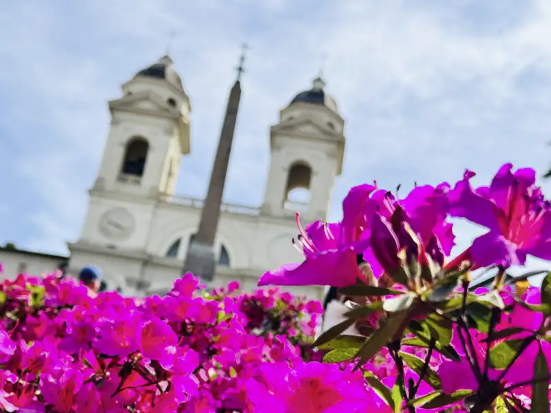 Nur einer von vielen Höhepunkten auf unserer Städtereise nach Rom mit Studiosus: die Spanische Treppe